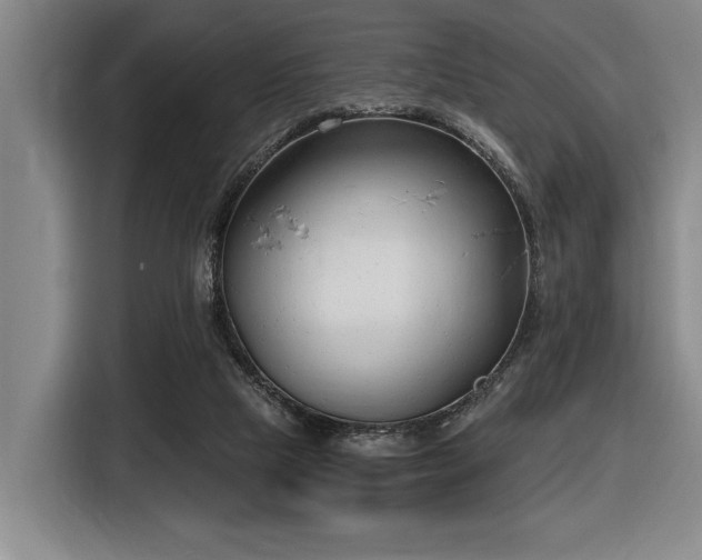 X0000116630065200912111225