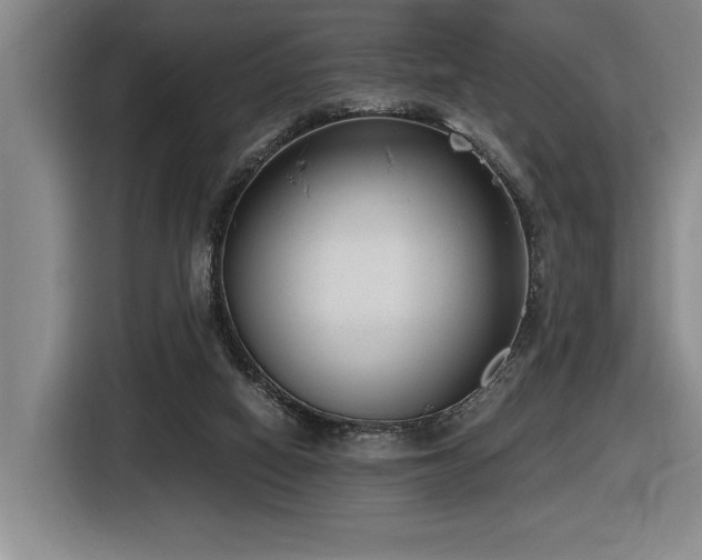 X0000116630066200912111225