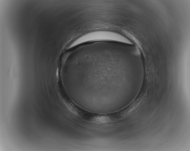 X0000116630067200912111225