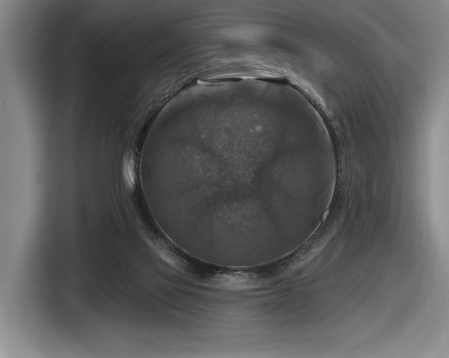 X0000116630069200912111225