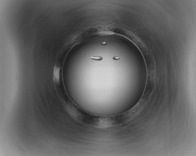 X0000116630070200912111225