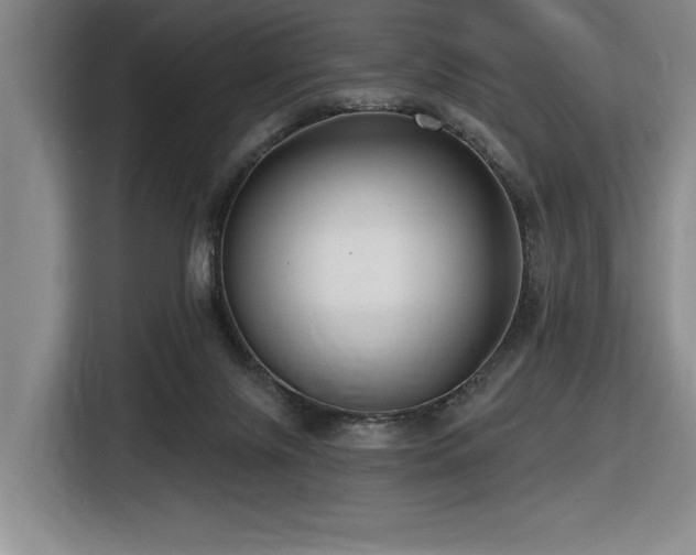 X0000116630071200912111225