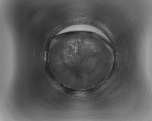 X0000116630073200912111225