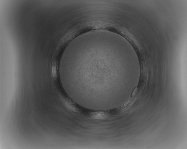 X0000116630074200912111225