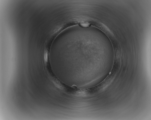 X0000116630076200912111225