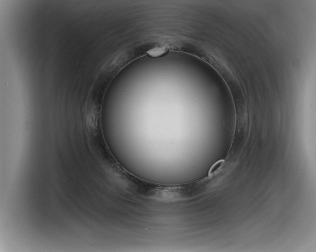 X0000116630078200912111225