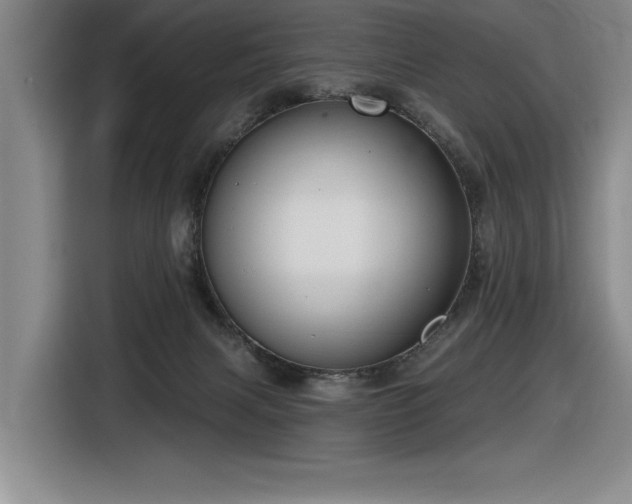 X0000116630079200912111225