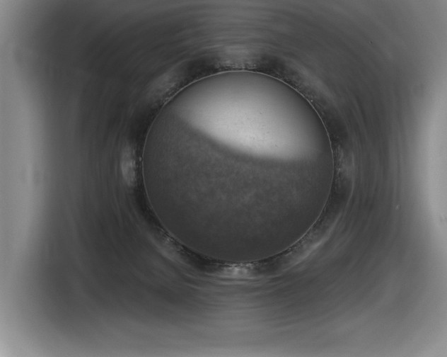 X0000116630080200912111225