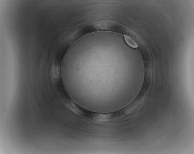 X0000116630081200912111225