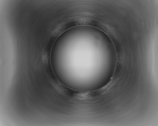 X0000116630086200912111225