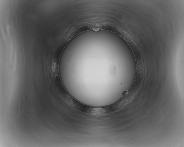 X0000116630087200912111225