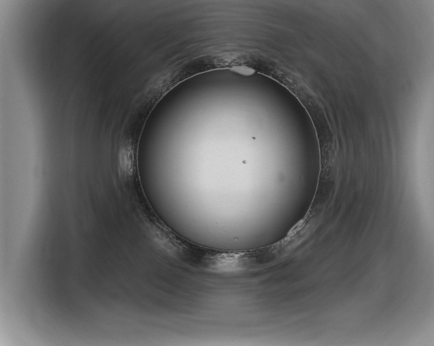 X0000116630090200912111225