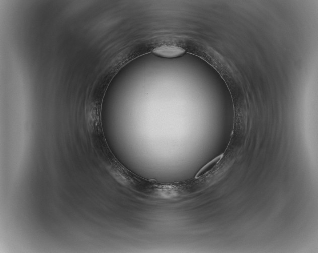 X0000116630091200912111225