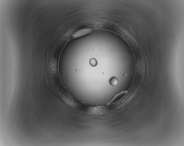 X0000116630092200912111225