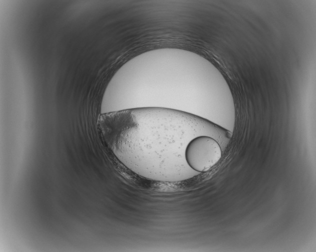 X0000116630093200912111225