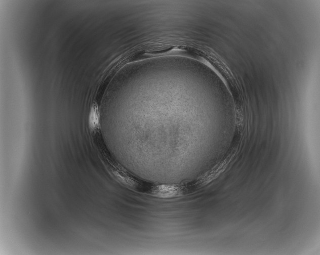 X0000116630095200912111225