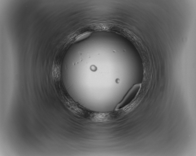 X0000116630096200912111225