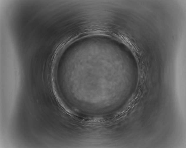 X0000116630097200912111225