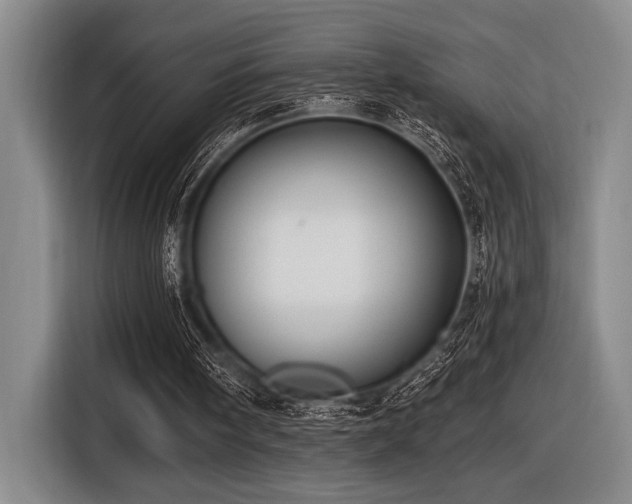 X0000116630098200912111225