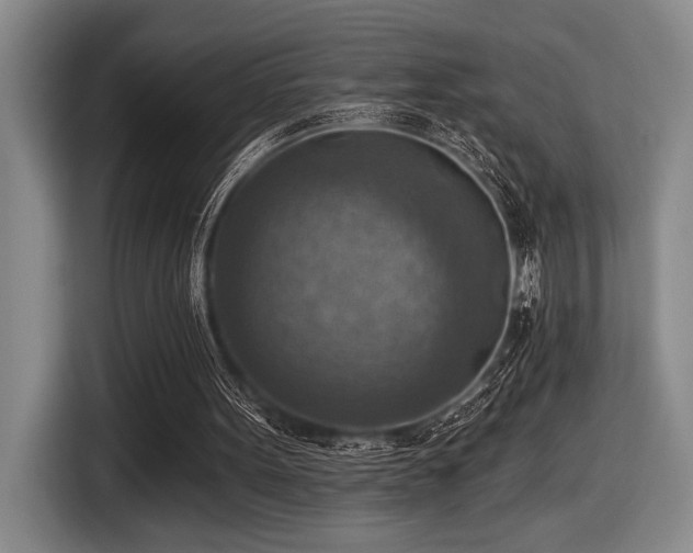 X0000116630099200912111225