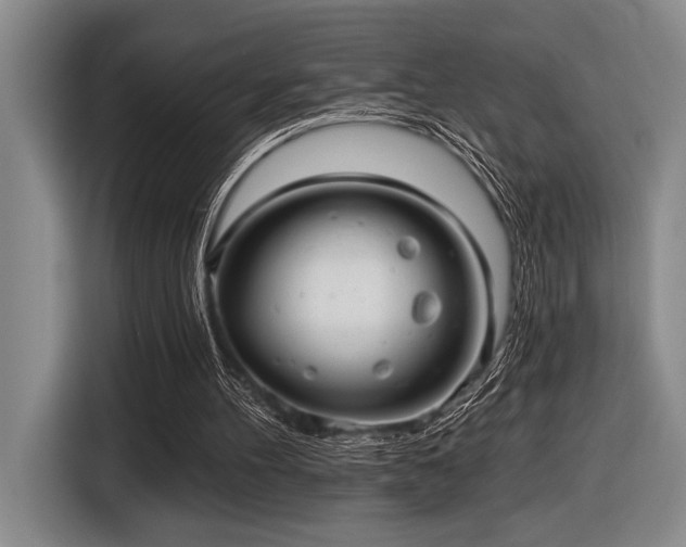 X0000116630100200912111225