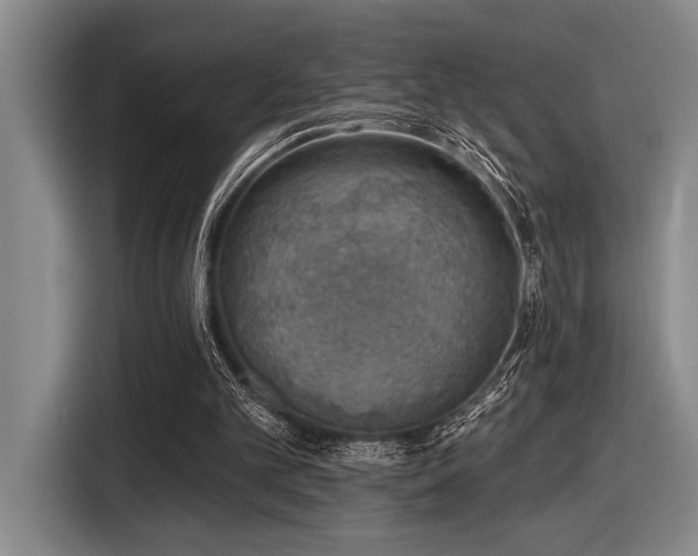 X0000116630101200912111225