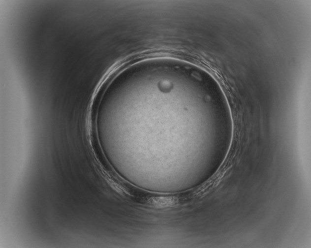 X0000116630102200912111225