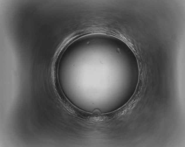 X0000116630103200912111225