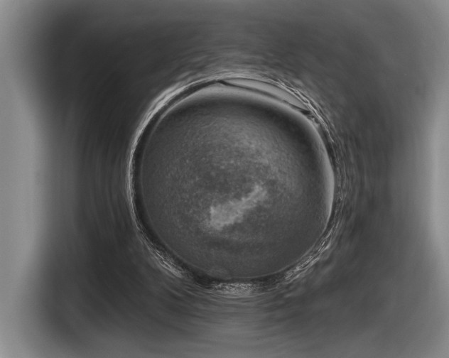 X0000116630104200912111225