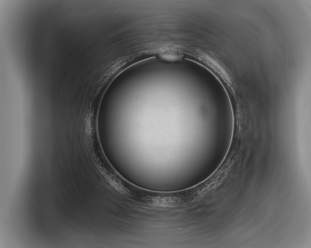 X0000116630105200912111225