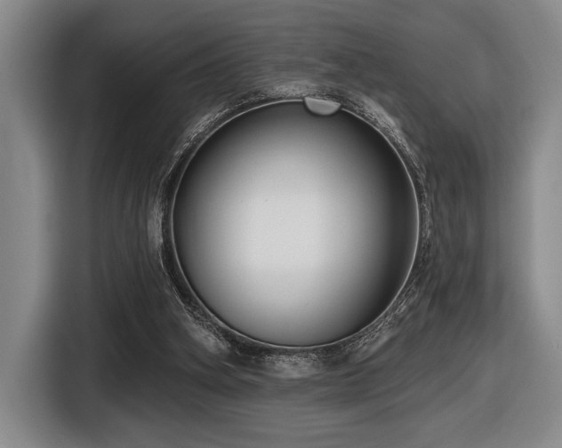 X0000116630106200912111225