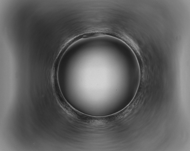 X0000116630107200912111225