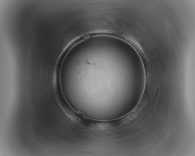 X0000116630108200912111225