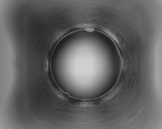 X0000116630109200912111225