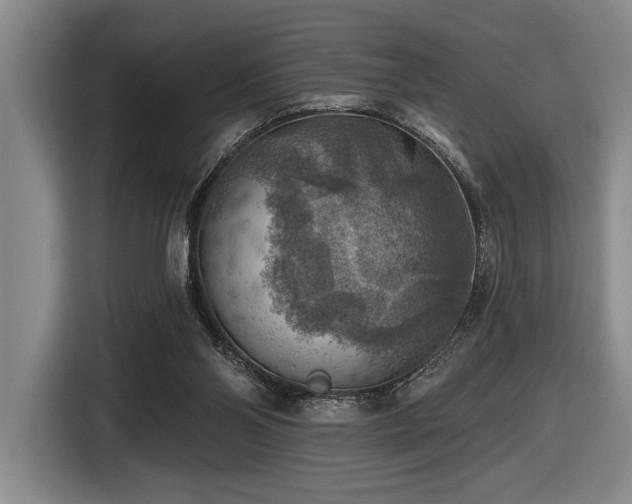 X0000116630110200912111225