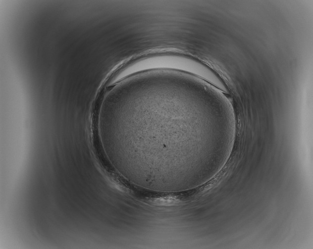 X0000116630112200912111225