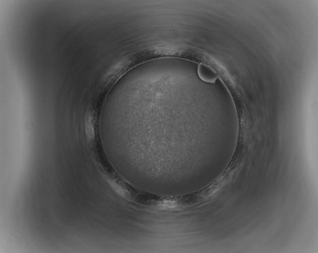 X0000116630114200912111225