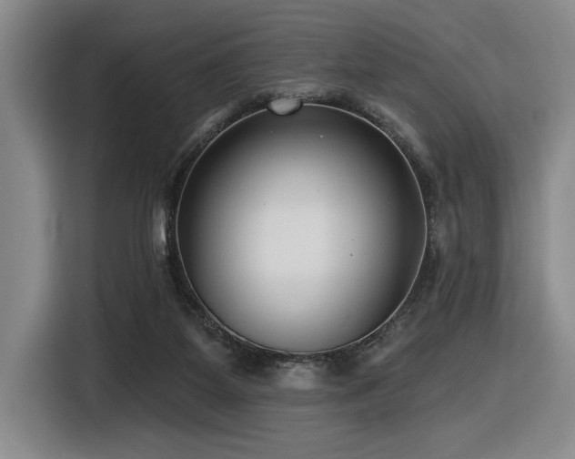 X0000116630115200912111225