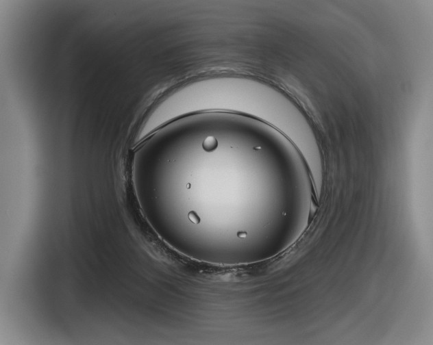 X0000116630116200912111225