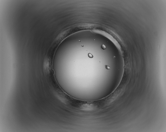 X0000116630119200912111225