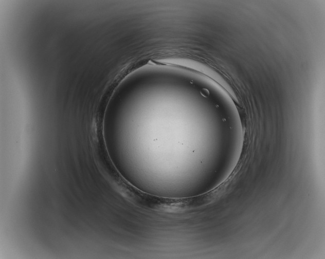 X0000116630120200912111224