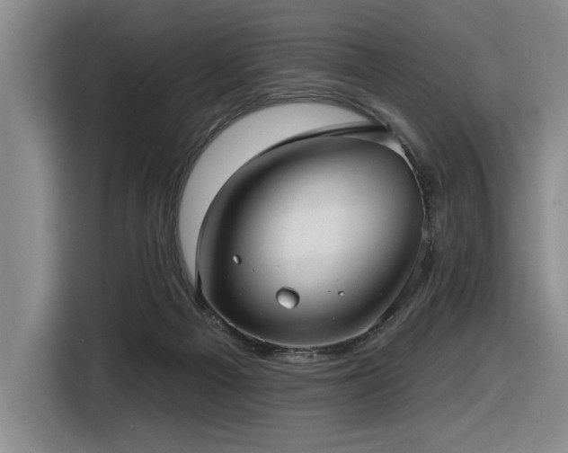 X0000116630121200912111224