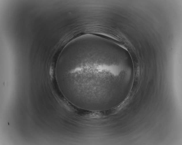 X0000116630124200912111224