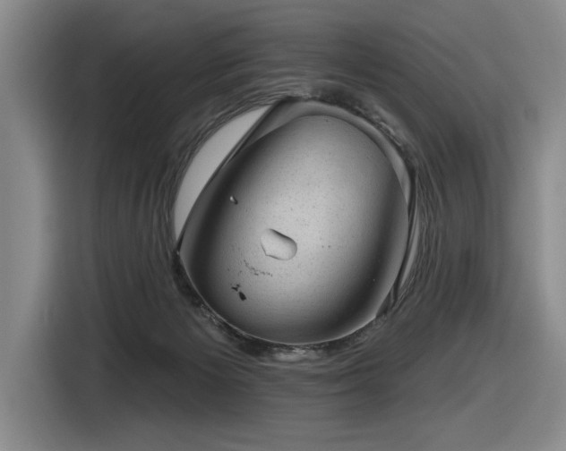 X0000116630125200912111224