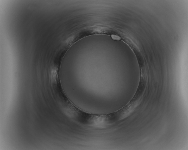 X0000116630127200912111224