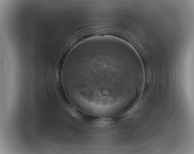 X0000116630128200912111224