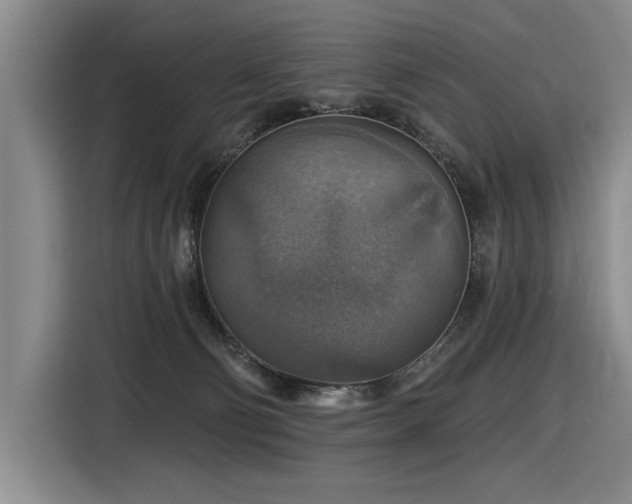 X0000116630130200912111224