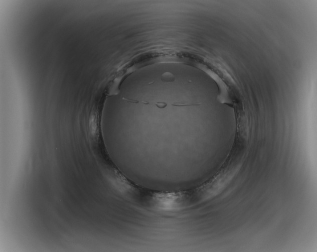 X0000116630131200912111224