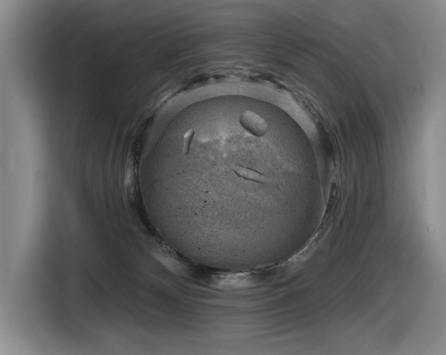 X0000116630132200912111224