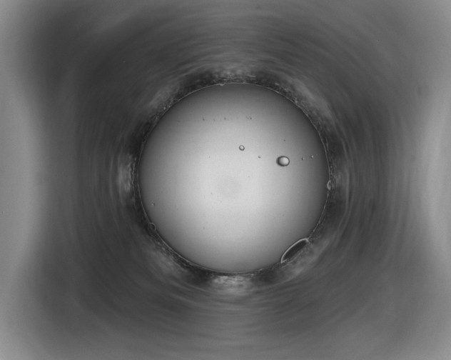 X0000116630133200912111224